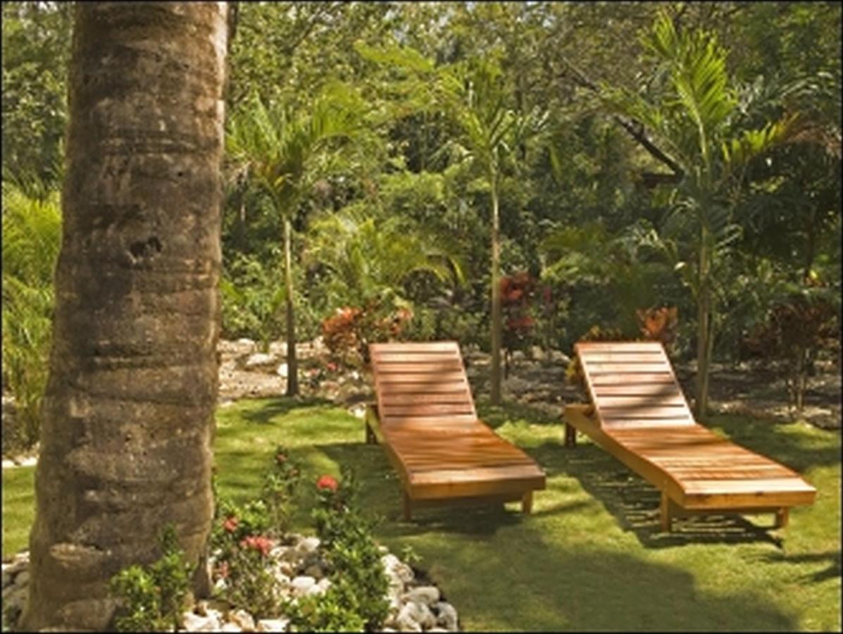 Nosara Paradise Rentals Exteriér fotografie